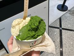 -鹤茶野所(上海首店)