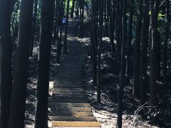 -广州市帽峰山景区