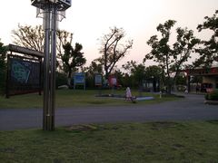 -上海长兴岛郊野公园