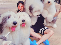 -TrueLove @ Neverland (Husky Cafe)