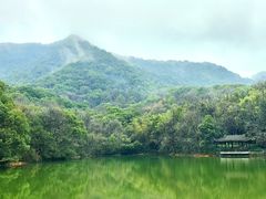 -杭州半山国家森林公园