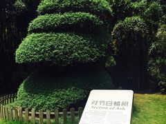 -苏州河梦清园环保主题公园