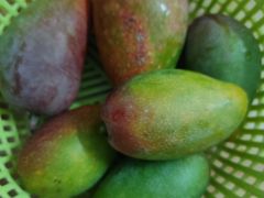 -港华水果街(港华广场店)