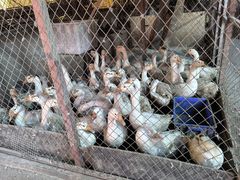 -鱼窝棚柴火铁锅炖(富山屯店)