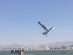-大理洱海