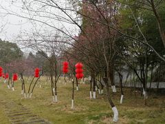 -广东大峡谷