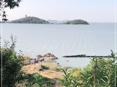 -上海市保健医疗中心