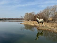 -溱湖国家湿地公园