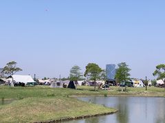 -春花秋色城市公园