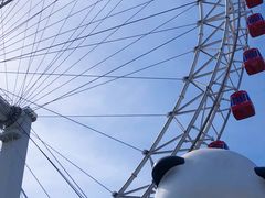 -天津之眼摩天轮