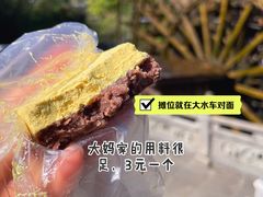 -蔺大妈松花糕