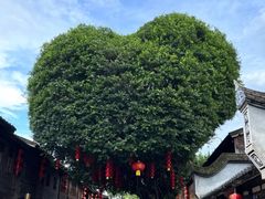 -三坊七巷历史文化街区