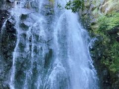 -马峦山郊野公园
