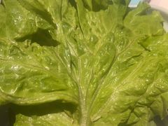 -奔达特色烤牛肉(临河街店)