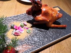 -大鸽饭(岗顶店)