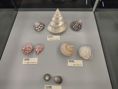 -天津古林古海岸遗迹博物馆