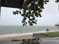 -Scarborough Fish & Chips- Tanjung Rhu