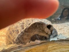 -正佳雨林生态植物园