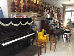 -缪斯琴行英皇小提琴.钢琴.吉他(张江店)