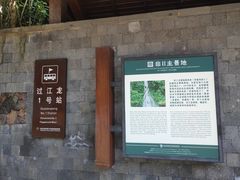 -亚龙湾热带天堂森林公园