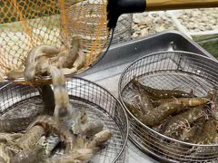 -海味当家·蒸锅海鲜(星海公园店)