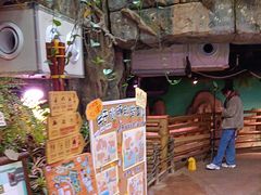 -正佳雨林生态植物园