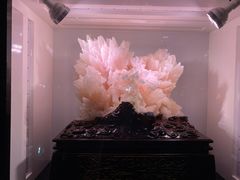 -中国地质大学逸夫博物馆