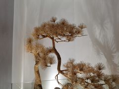 -鳯港咖啡(天一店)