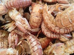 -新乾隆酒楼(帝景园店)