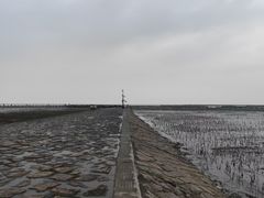 -南汇嘴观海公园