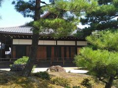 -豆政(金閣寺境内売店)