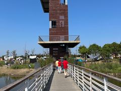 -春花秋色城市公园