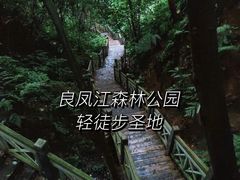 -南宁良凤江国家森林公园
