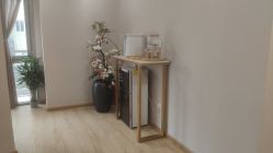 -酉嘉瑜伽YO+YOGA