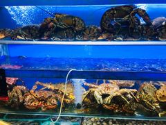 -船梆煮•蒸汽海鲜·炉火烤肉(五四广场店)