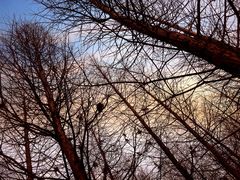 景点-溱湖国家湿地公园