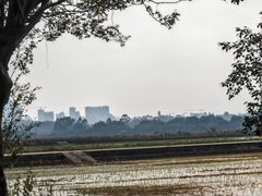 -正宗鸡饭粤香酒家(朱村店)