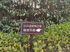 -上海崇明金茂凯悦酒店