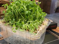 -常赢三兄弟·清真涮肉·清真炒菜(朝阳新城店)