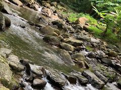 -广州市石门国家森林公园