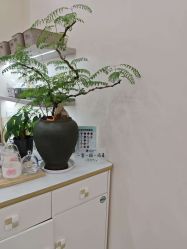 点击看大图 -哈喽美妈产后恢复中心(乐堤港店)