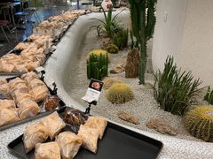 -OUR Bakery(SKP-S店)