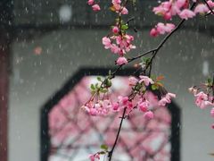 -莫愁湖公园