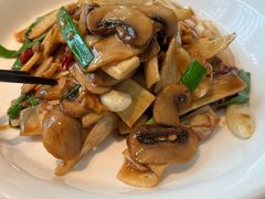 -鸽子侯·家宴·平价海鲜(市图书馆店)