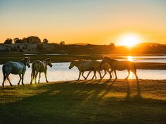 -塞罕坝国家级自然保护区
