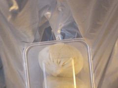 -冶春茶社(星汉大厦店)