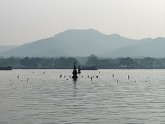 -西湖游船