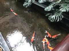 -福禧酒窖·中餐厅 (万柳店)