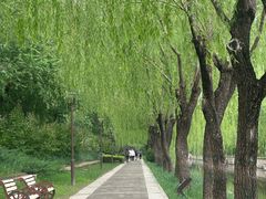 -元大都城垣遗址公园