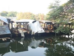 -荔湾湖公园